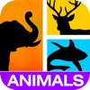 Guess It! Pic Animal Word Game