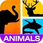 Guess It! Pic Animal Word Game