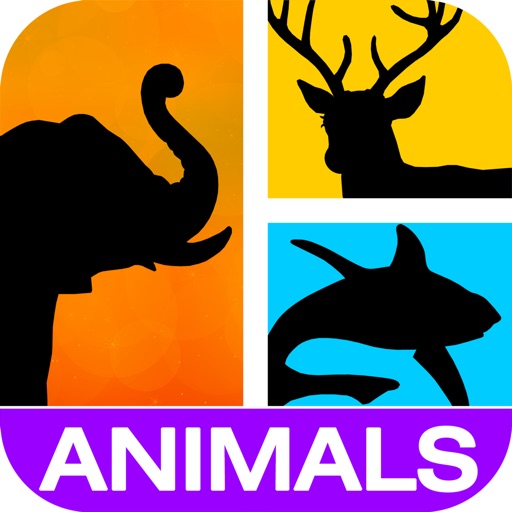 Guess It! Pic Animal Word Game