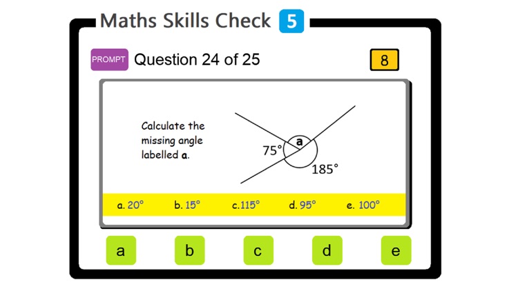 PAM Maths Skills Check 5 screenshot-5