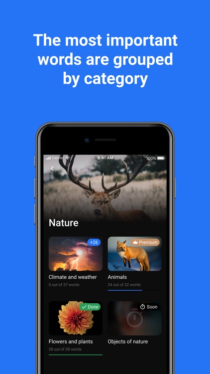 LingoBingo: Learn Languages