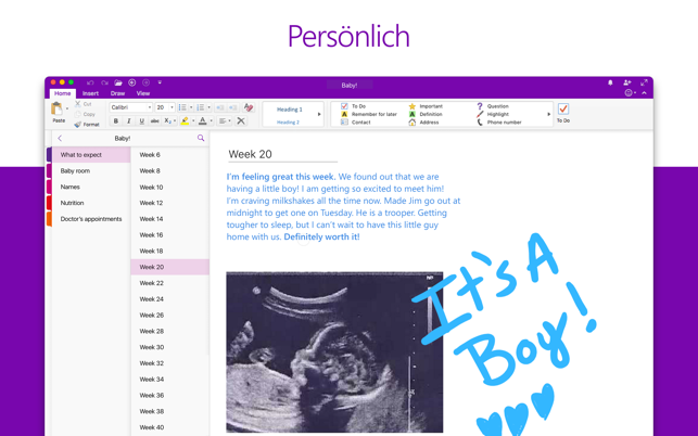 Microsoft OneNote Screenshot