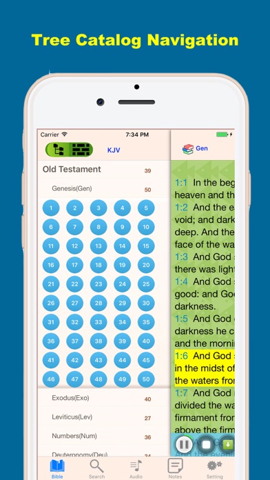 Holy Bible Audio Offline screenshot 2