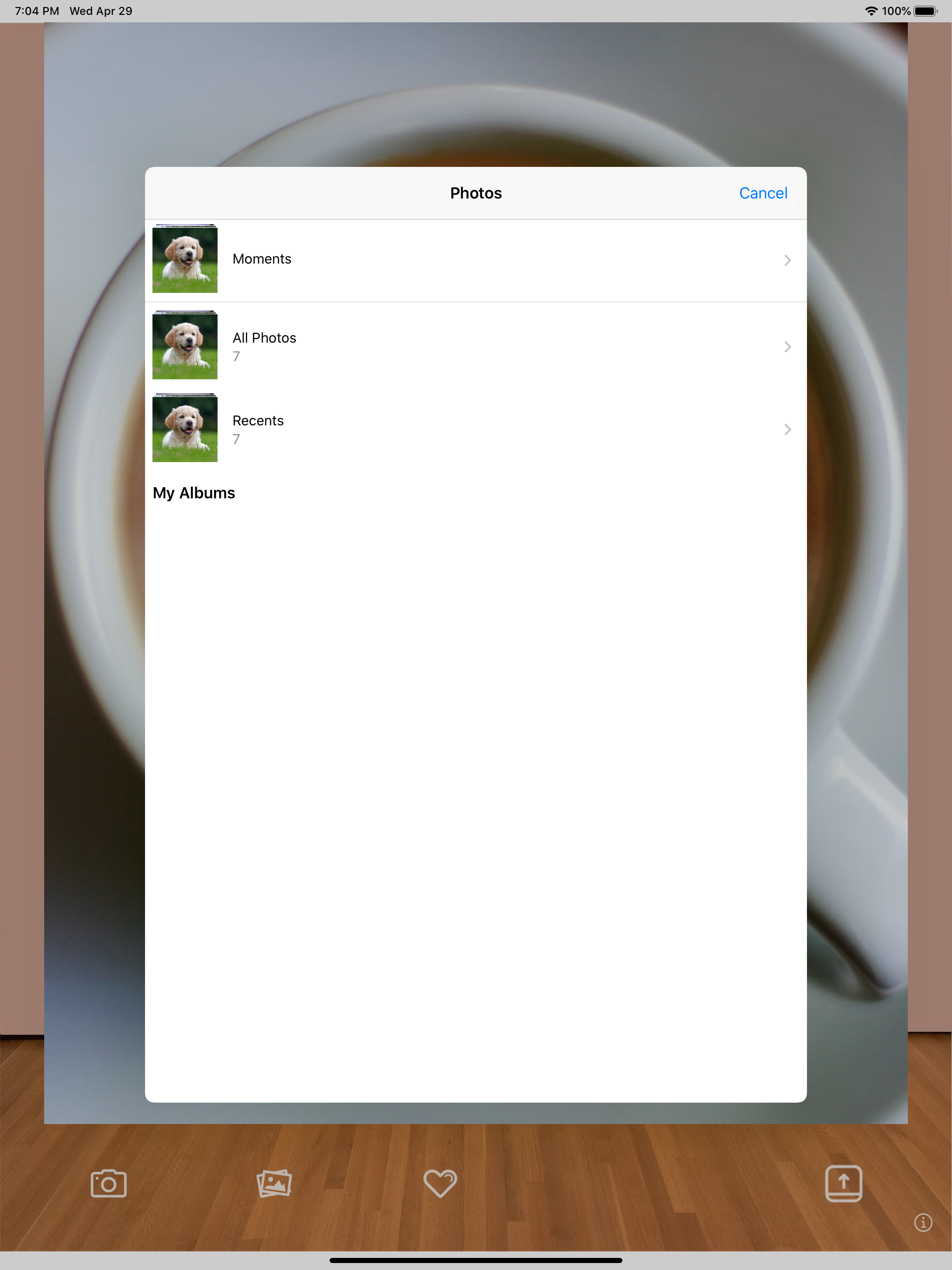 Pet Camera: Great Pet Photos