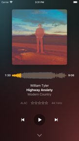 Plexamp screenshot