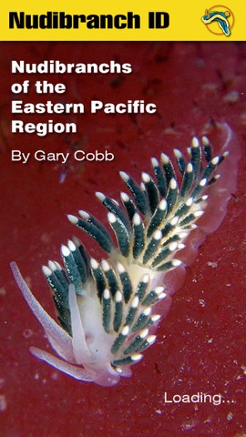 Nudibranch ID THE WORLDのおすすめ画像4