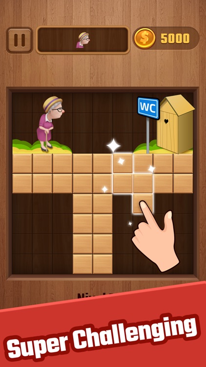 Block Puzzle Plus! by Xiao Zhao