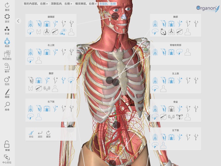 3D Organon Anatomy Enterprise screenshot-9