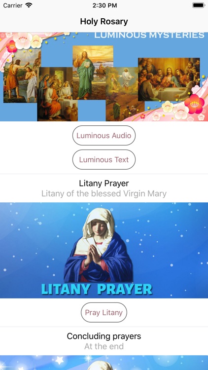 Holy Rosary With Audio & Text screenshot-4