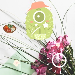 ME-Magnifying And Editing