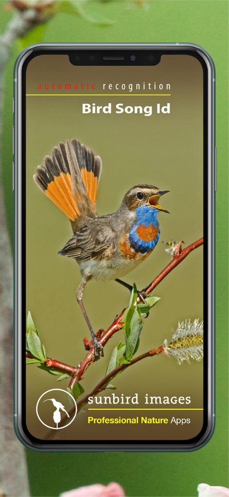 Bird Song Id UK - bird-song-id-uk-app-splash-screen