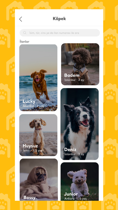 Screenshot #3 pour Patievi