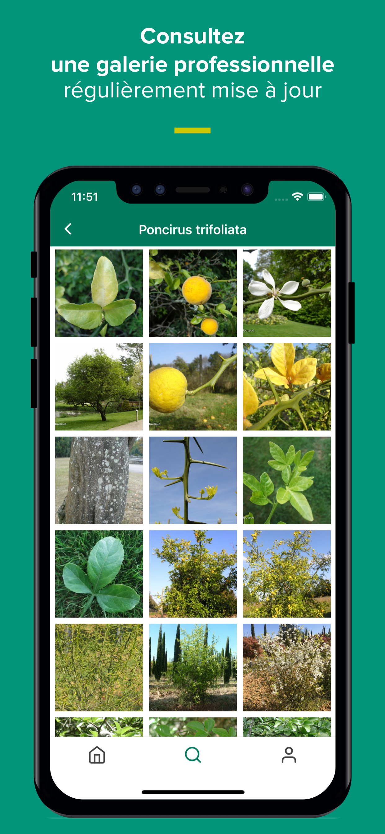 Floriscope