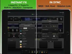 Quantiloop - Live Looper screenshot 9