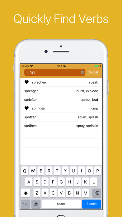 German Verb Conjugator Pro Screenshot