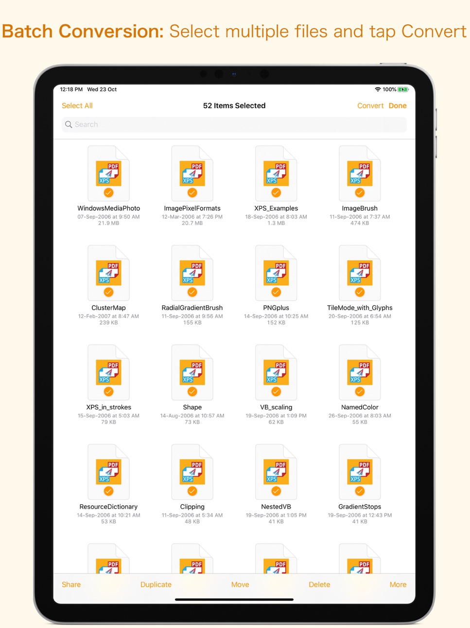 iPad screenshot