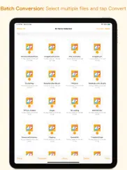 xps-to-pdf ipad bildschirmfoto 4