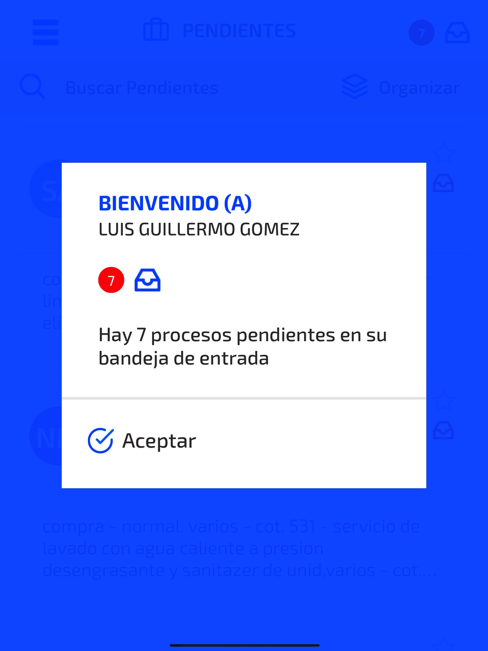 BPMCo Process