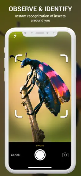 Game screenshot Insect identifier by photo mod apk