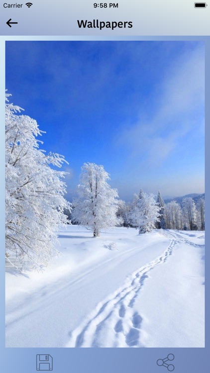 Awesome Winter Days screenshot-3