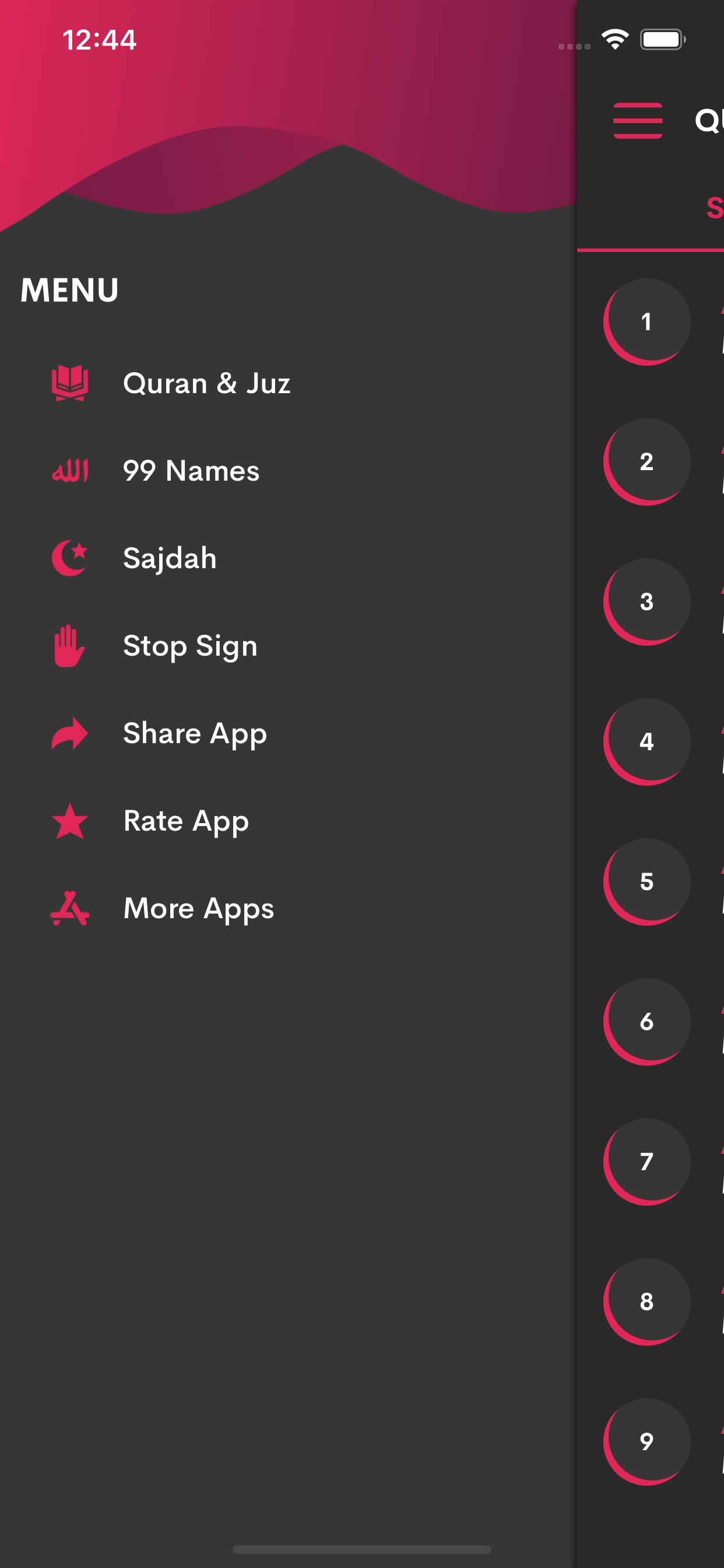 Al Quran in Urdu