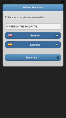 Offline Translate screenshot 1