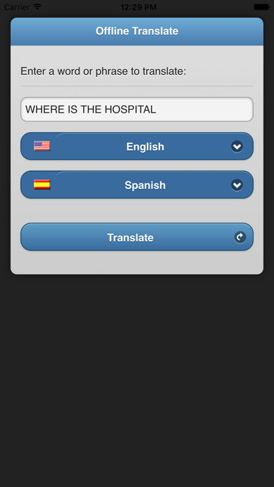 Offline Translate Screenshot
