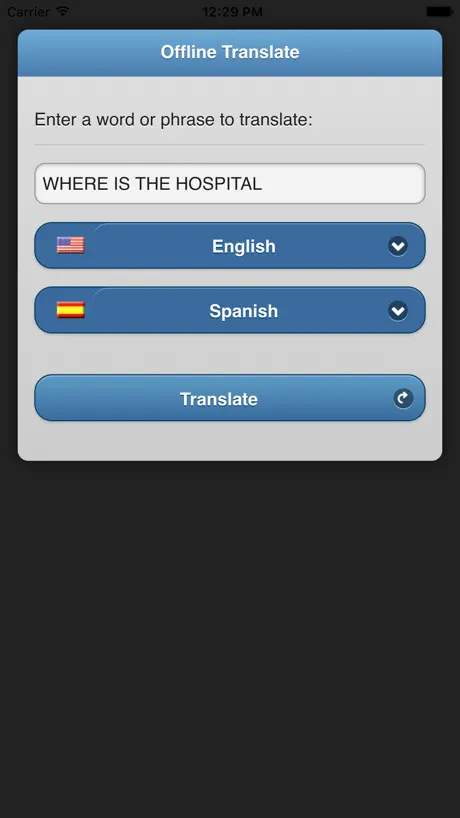 Offline Translate