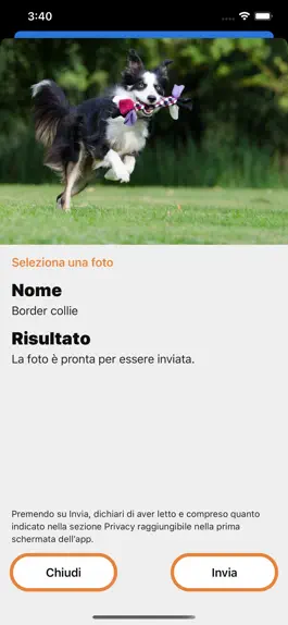 Game screenshot Enciclopedia Canina hack