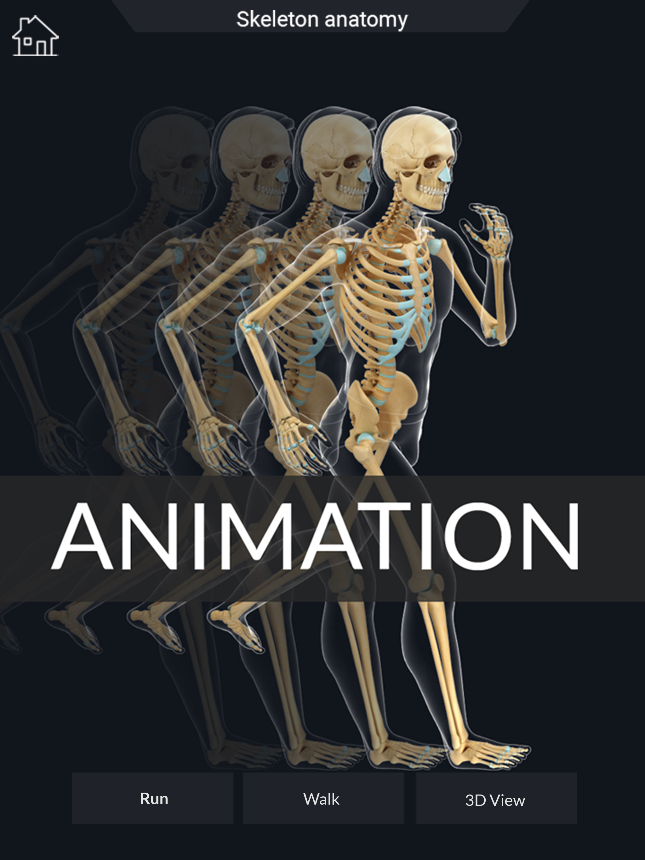AR Skeleton Anatomy