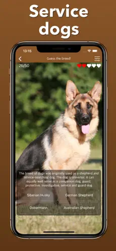 Imágen 7 Razas De Perros: Juegos Cuidar iphone