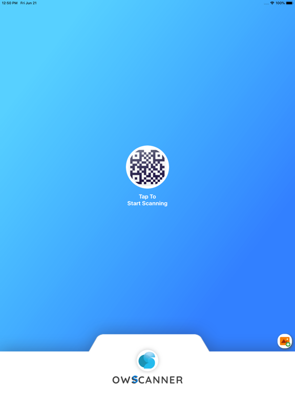 Screenshot #4 pour OWScanner