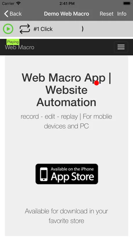 Web Macro Bot: Record & Replay