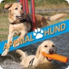 Appmal Hund - Hundeapp