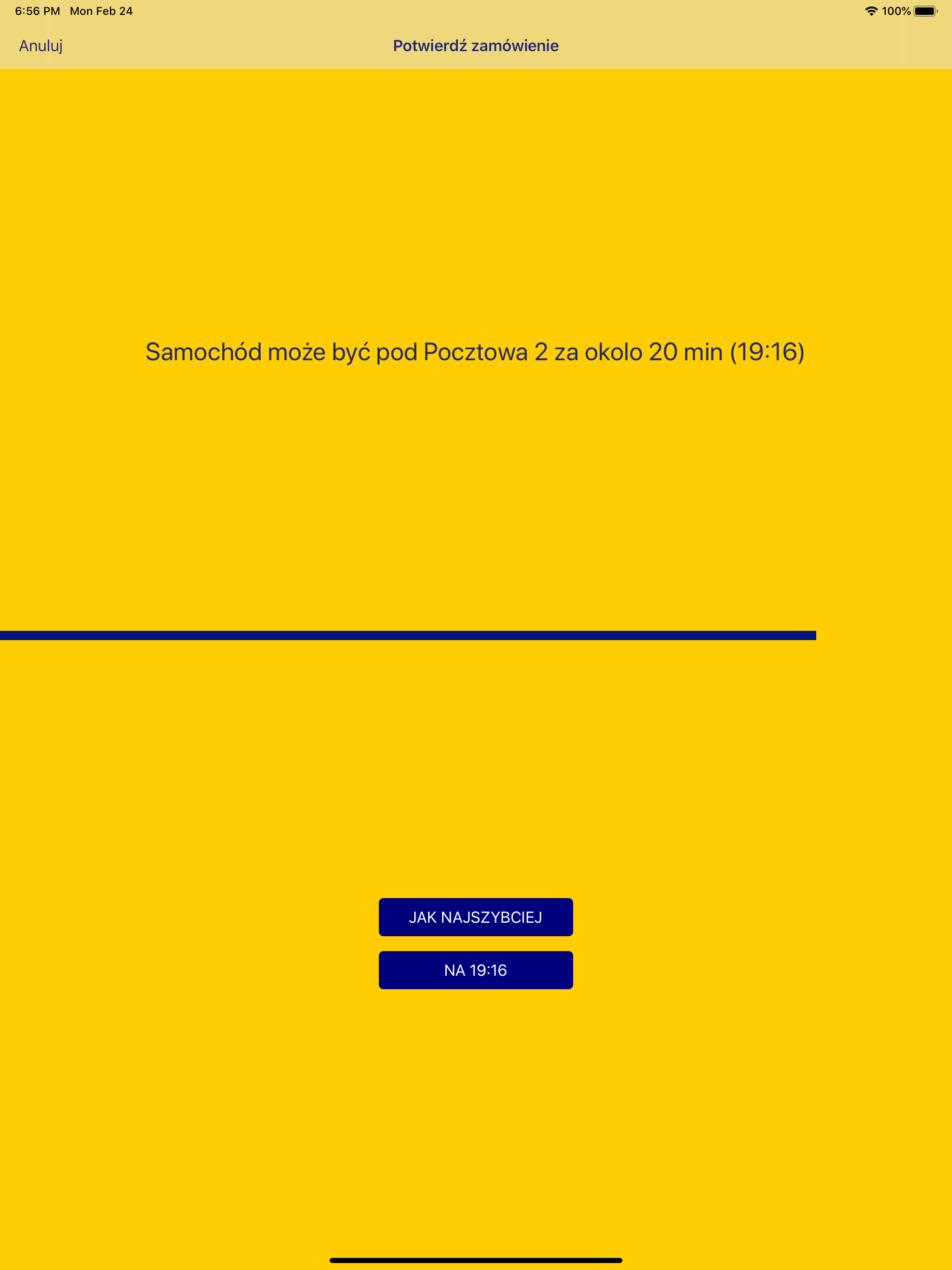 YellowTaxi screenshot 12