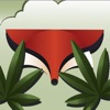 GrassFox icon