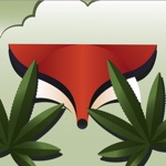 Download GrassFox app