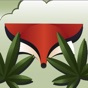GrassFox app download