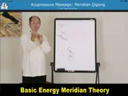acupressure massage qigong ipad images 3