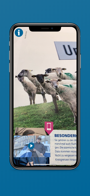 Boyens AR(圖3)-速報App