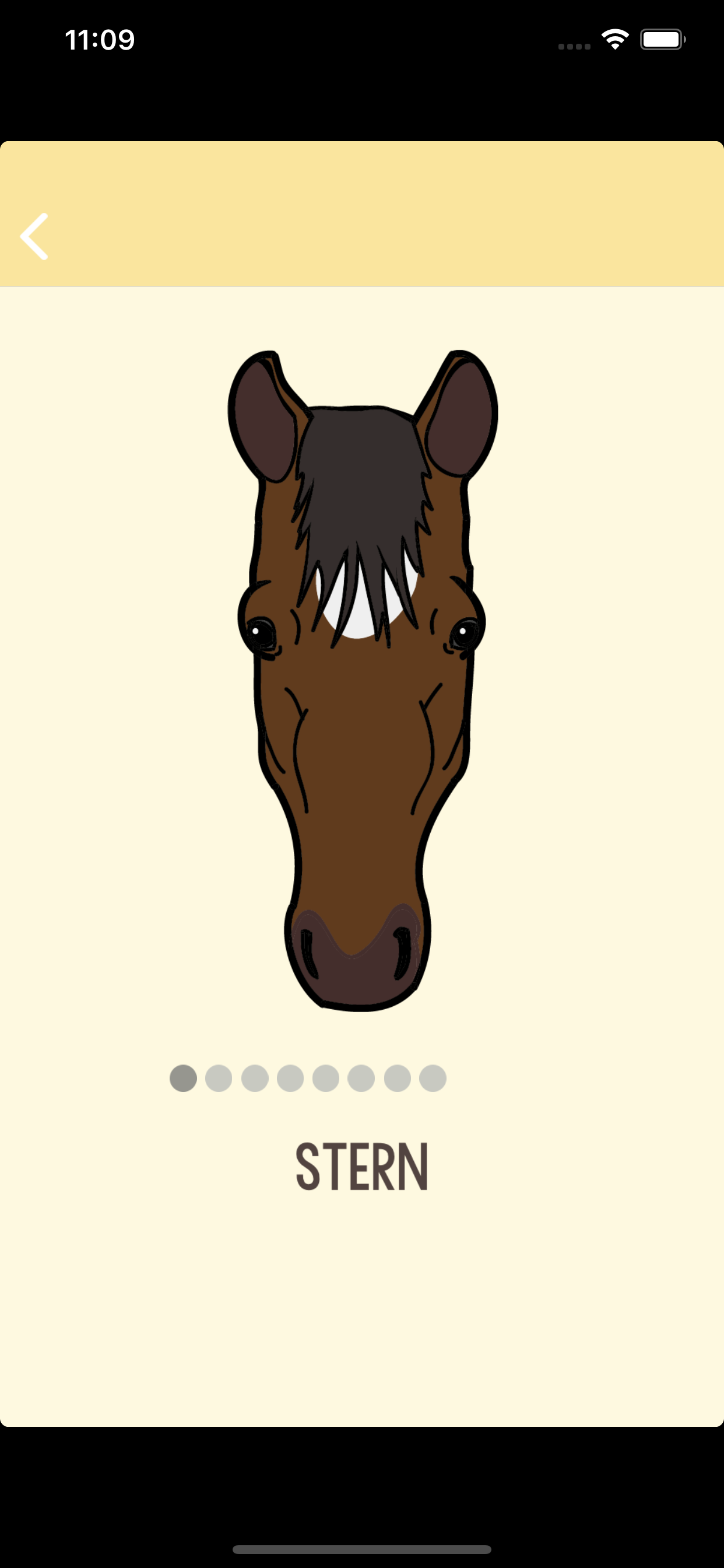 Horse Savvy
