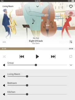 Wireless Audio Multiroom : Pad iPad image 3