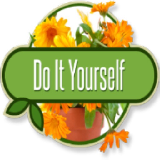 DIY Project Home Decoration