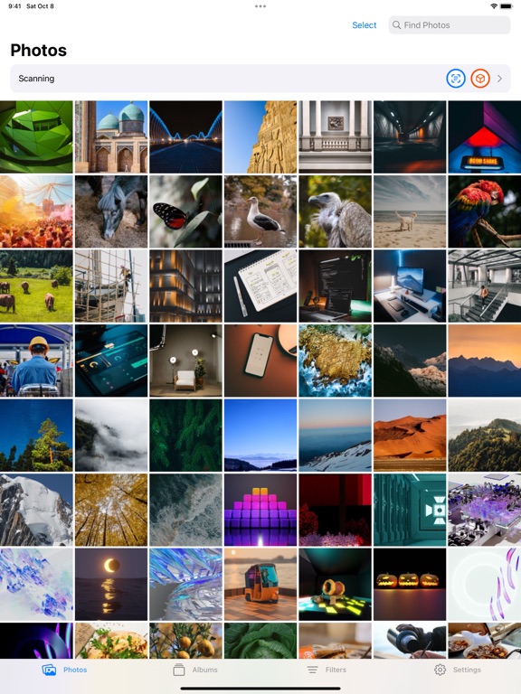 Screenshot #6 pour Find: A Modern Photo Manager