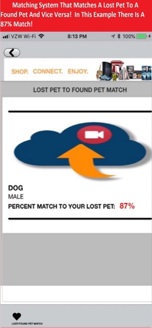 Pet Video Verify(圖3)-速報App