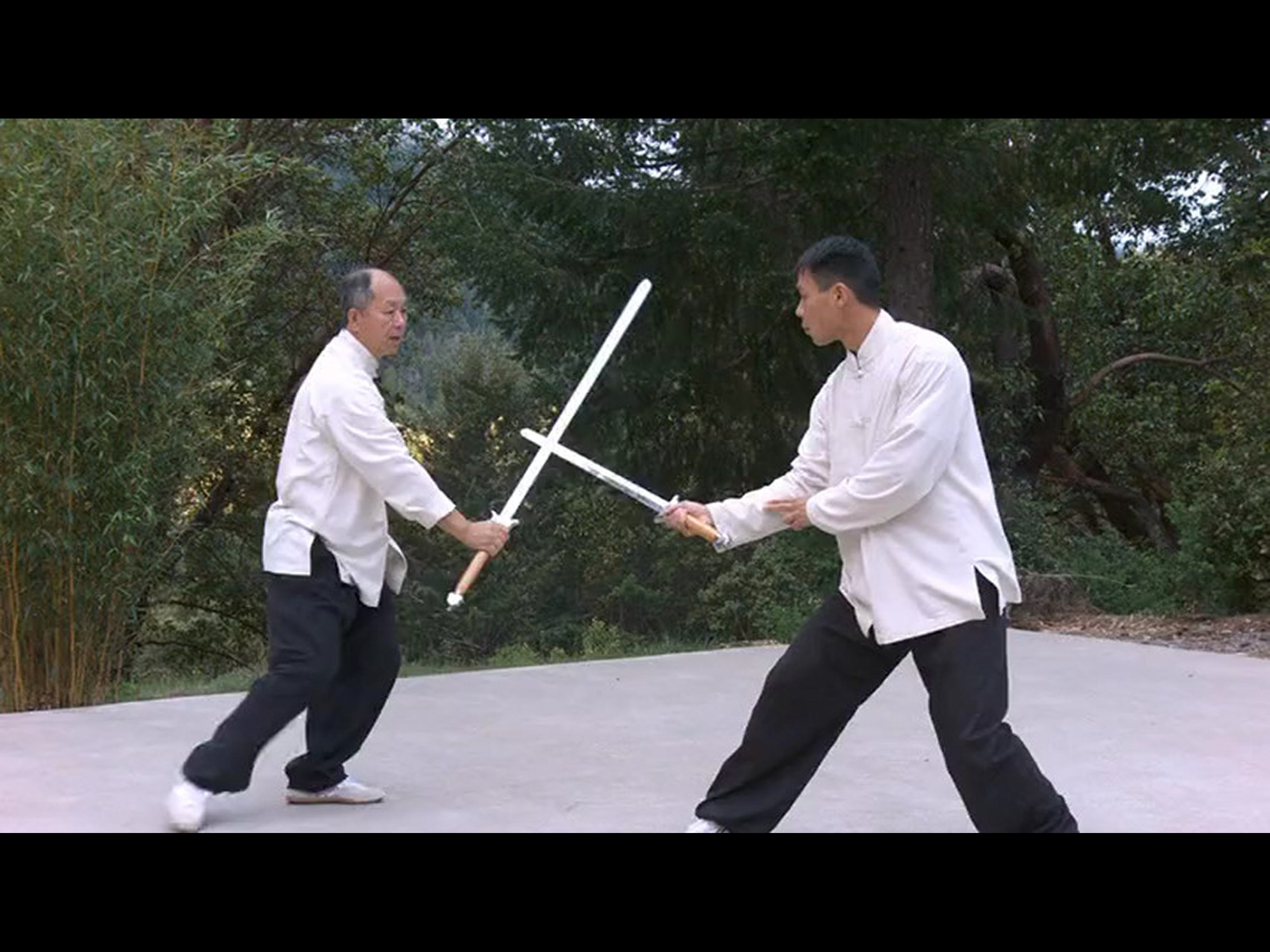 Tai Chi Sword for Beginners screenshot 9