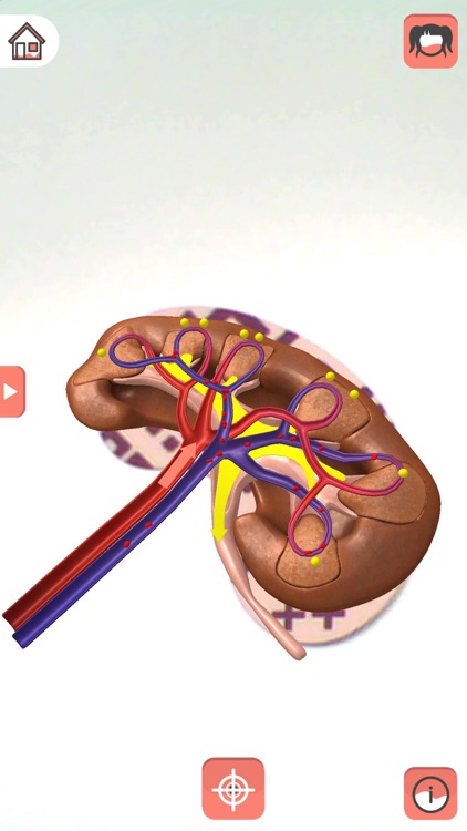 Body planet - Amparo screenshot-4