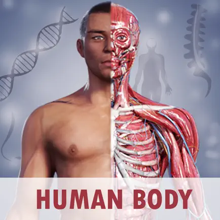 Anatomy Now Читы