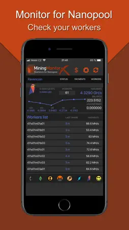 Monitor for Nanopool screenshot 1
