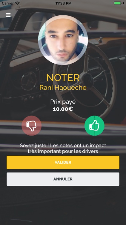 Driver Sitter screenshot-7
